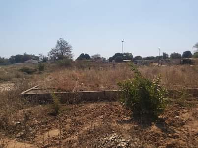 stands
