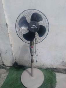 A picture of Feni ya stand tsh 30000 tu