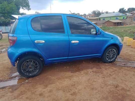 A picture of vitz