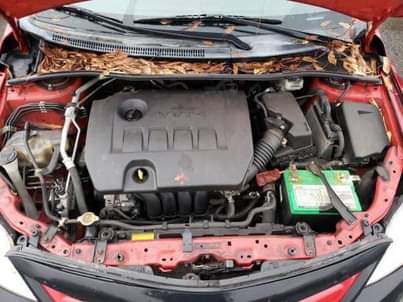 A picture of 2012 Toyota Corolla Another great year ahead more blessings