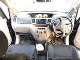 A picture of Noah