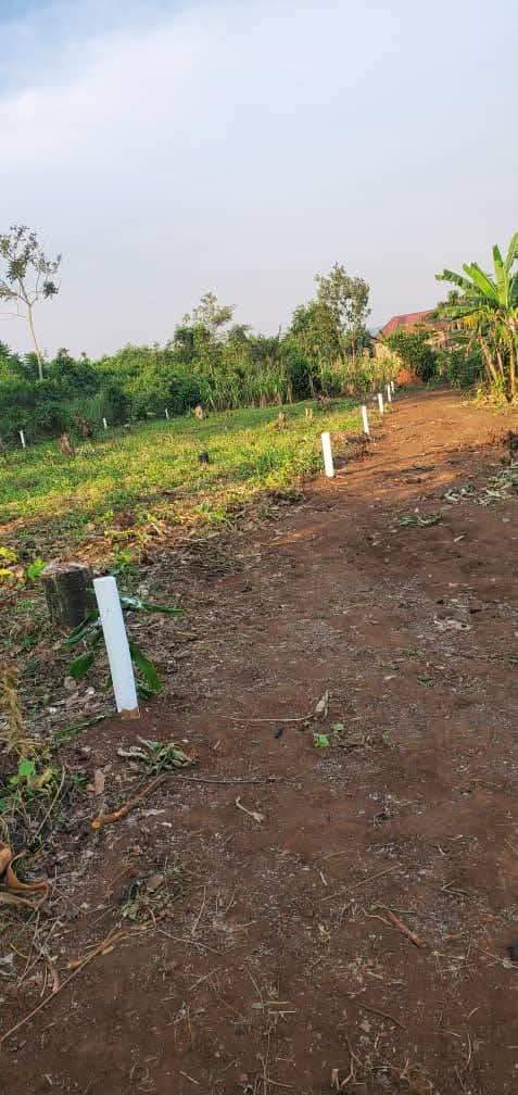 A picture of Plots in mpererwe buwamb