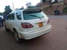 A picture of Harrier 3 0cc 6 7m call 0706260442