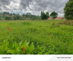 A picture of Plots for sale in Kira Bulindo ready titles at 75m