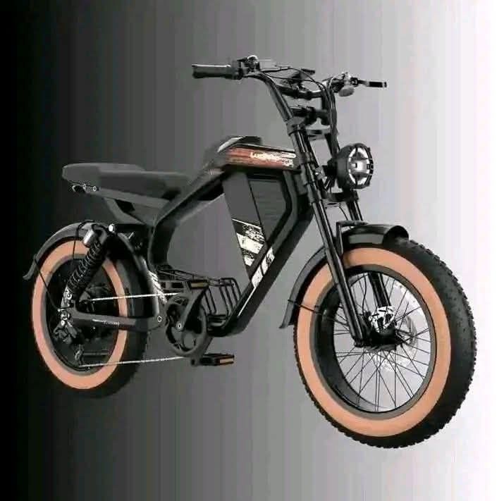A picture of ELECTRIC BIKE FOR LIPA MDOGO MDOGO