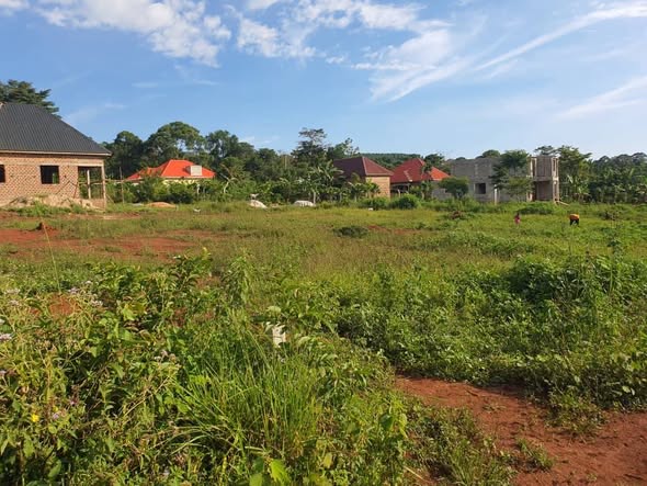 plots mukono