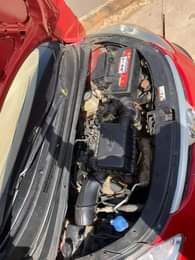 A picture of 2010 Hyundai i10 going for 2 5m settle 100k location