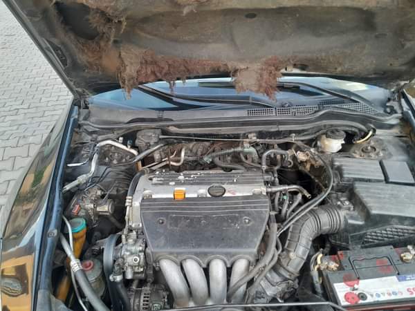 A picture of Super sharp EOD with an untempered engine and gear AC