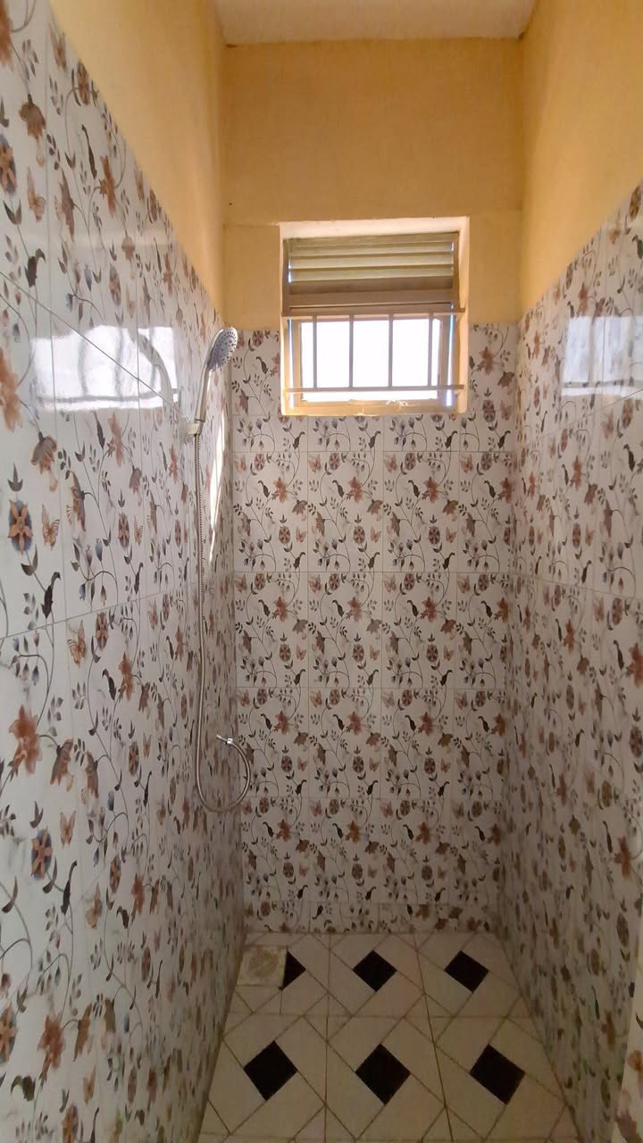 A picture of BRAND NEW RENTALS ON SALE 256758545754