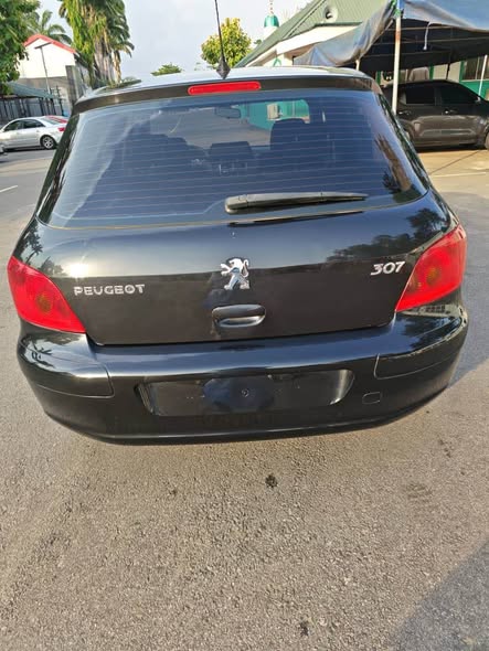 A picture of Peugeot 307