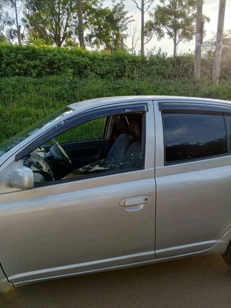 A picture of Vitz