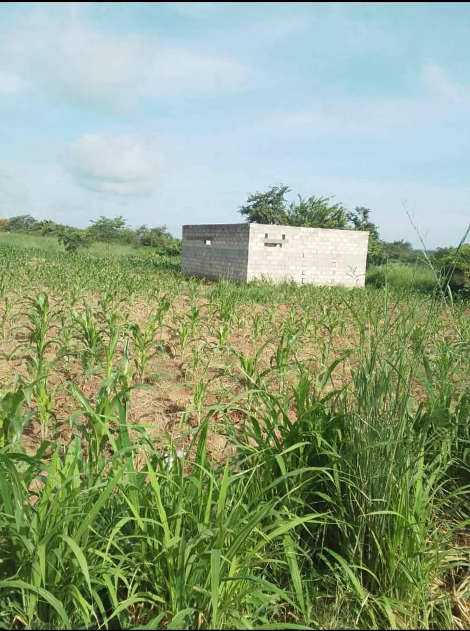 zambia plots