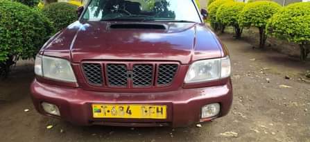 A picture of subaru foresta