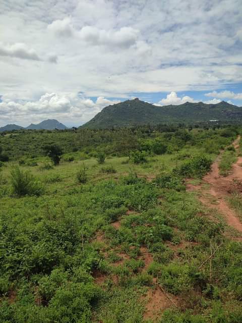 Lands &.
