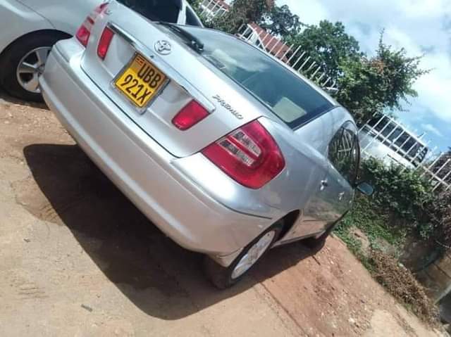 Cars F.