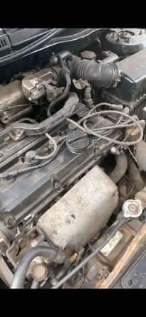 A picture of 2006 Kia Rio 2006
