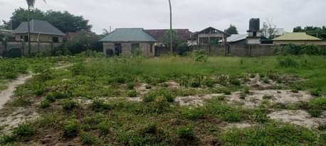 A picture of Eneo linauzwa
