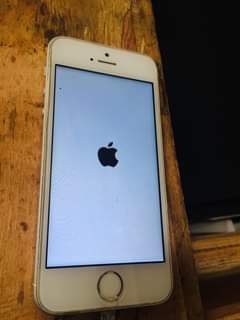 iphones 5s