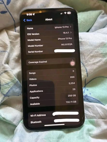 A picture of IPhone 13 pro