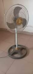 A picture of Household Items