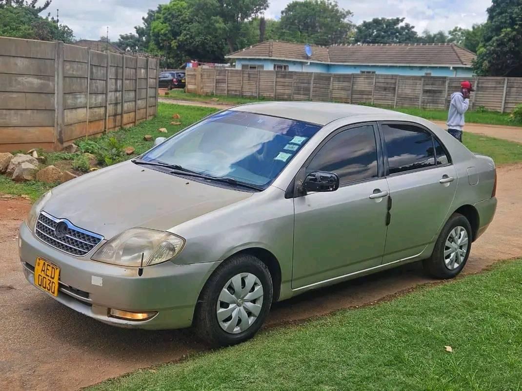 toyota corolla bubble