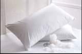 A picture of Fibre Pillows