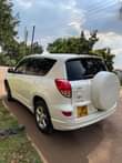 A picture of Rav4