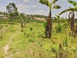 A picture of Plot for sale in mbarara city WhatsApp 0781260064