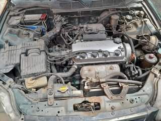 A picture of Honda civic