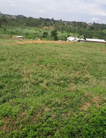 A picture of Land in Wakiso town for sale 2km from main road