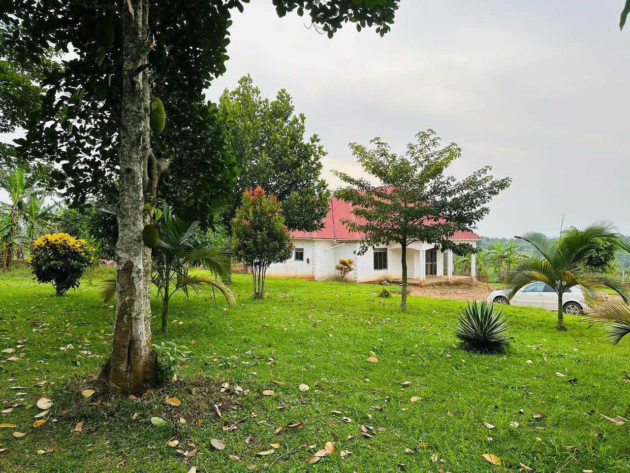 A picture of Country 4 bedrooms house on 1 acre at kakiri for