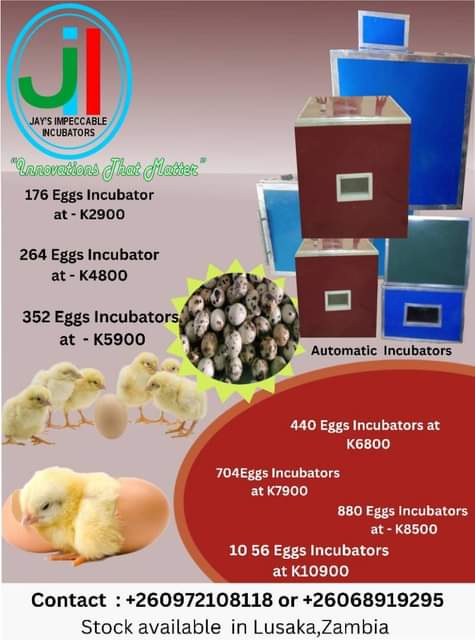 incubator