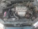 A picture of USED HONDA BABY BOY