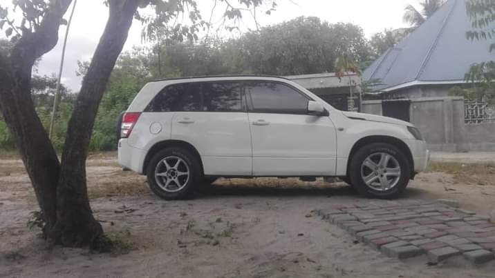A picture of Suzuki s kubwa