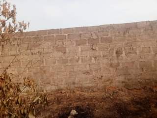 A picture of This building on a 50 by 100 is up for