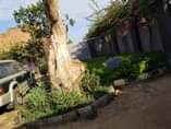 A picture of House for sale in Busabala. seated on 12 decimals with