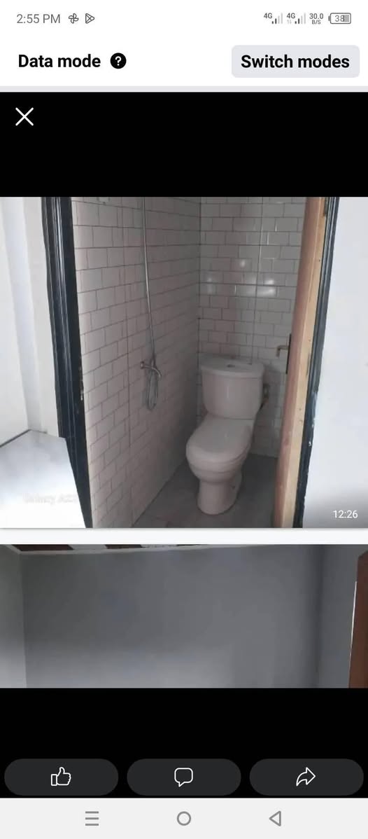 houses for rent
