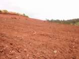 A picture of Bisoboka it s impossible Book your own plot today 800k