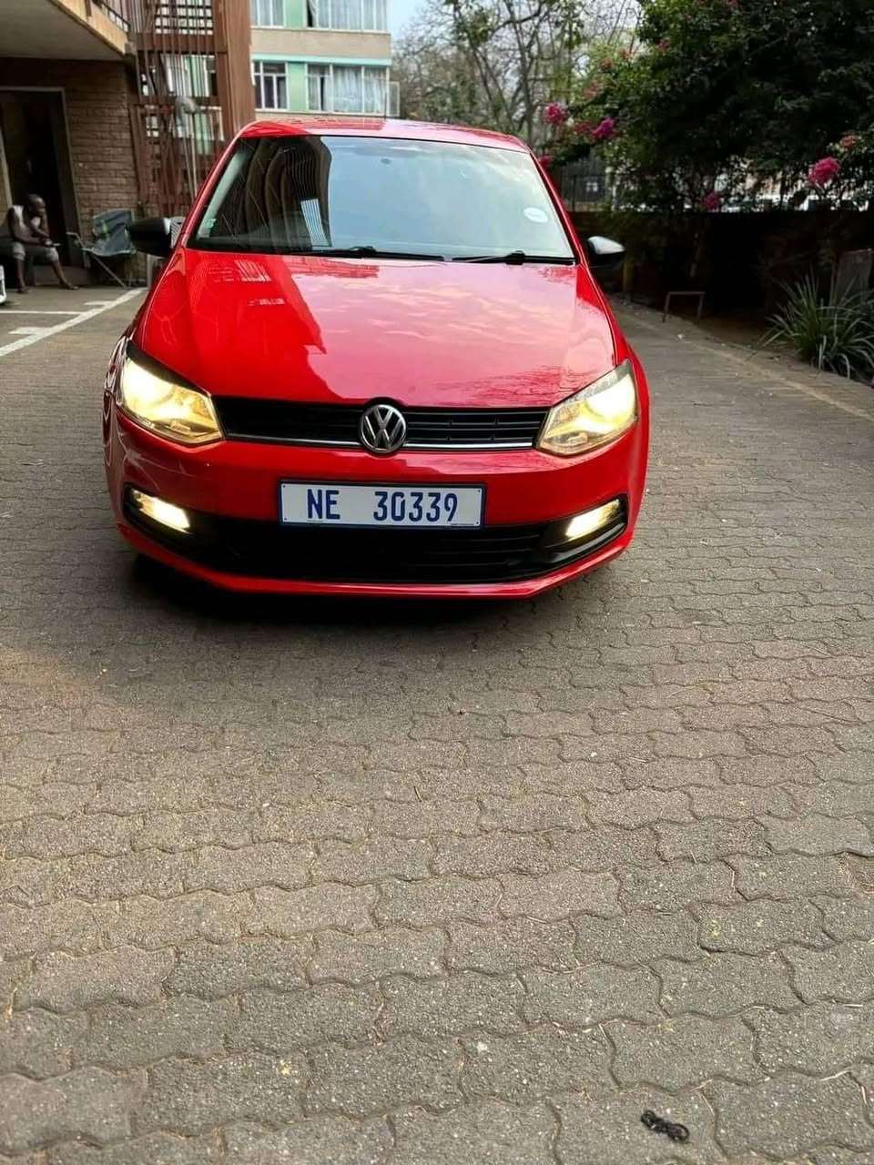 polo vivo