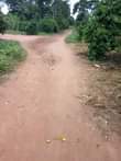 A picture of 2 fertile acres on sale at 21m with banana plantation