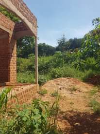 A picture of PLOTS IN NSAGGU