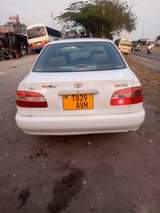 A picture of COROLLA