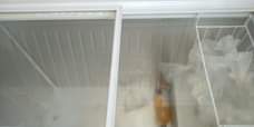 A picture of Deep freezer and Towel warmer