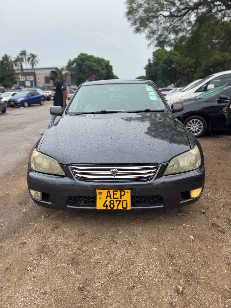 used toyota altezza