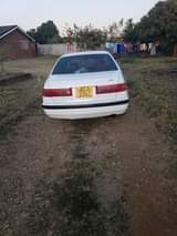 toyota corona