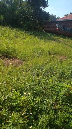 A picture of Affordable commercial plots in Kawanda Kirinyabigo trading center wakiso