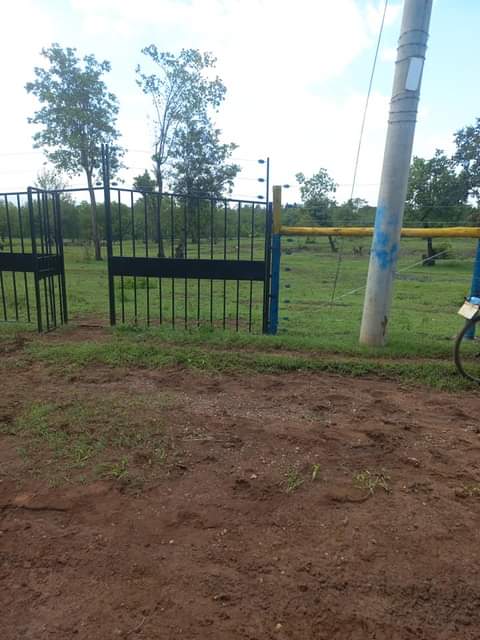 makutano plots