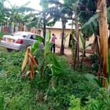 A picture of URGENT SALE Two bedroom house 17m outside Kitchen and toilets
