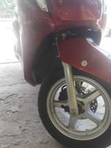 Chevdon M.