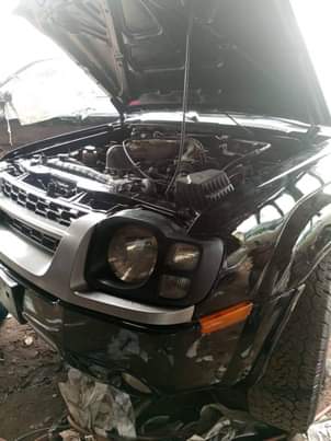 A picture of Nissan Xterra